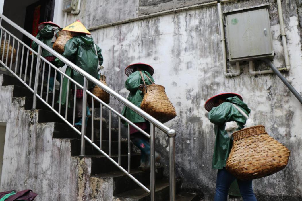 人间有味是清欢旅游,人间有味是清欢赏桂记