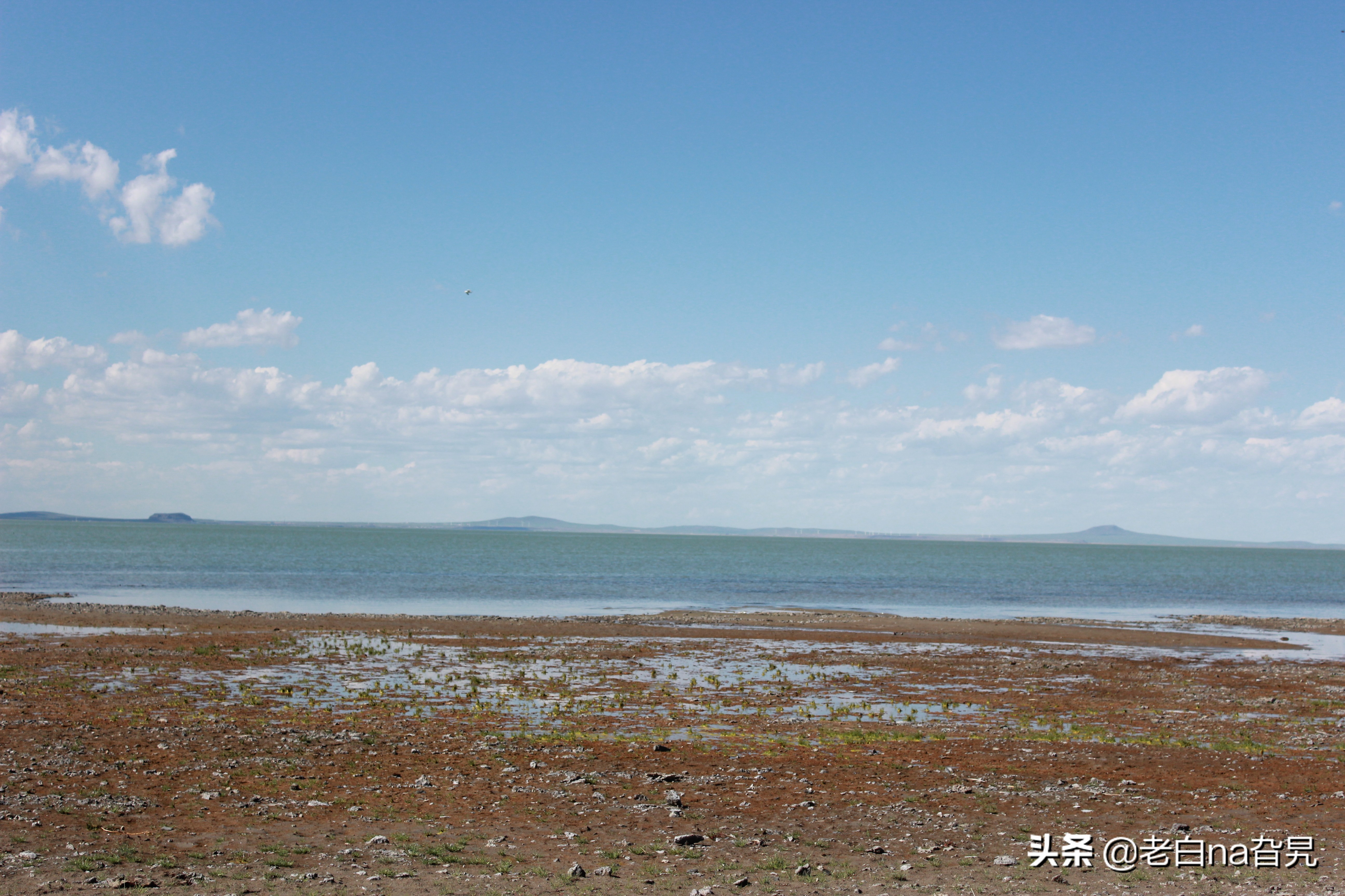 达里诺尔湖早上的风景,达里诺尔湖四大名湖
