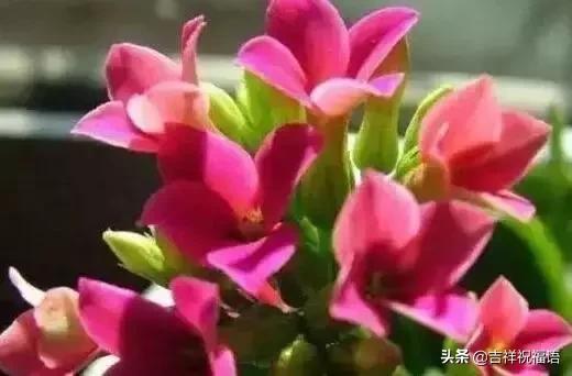 父亲节送给父亲什么礼物最好,父亲节一首好听的歌送给父亲