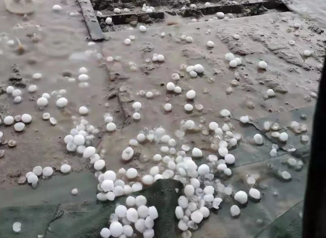 视点|看了才信!这个旅的“生命线”活力迸发