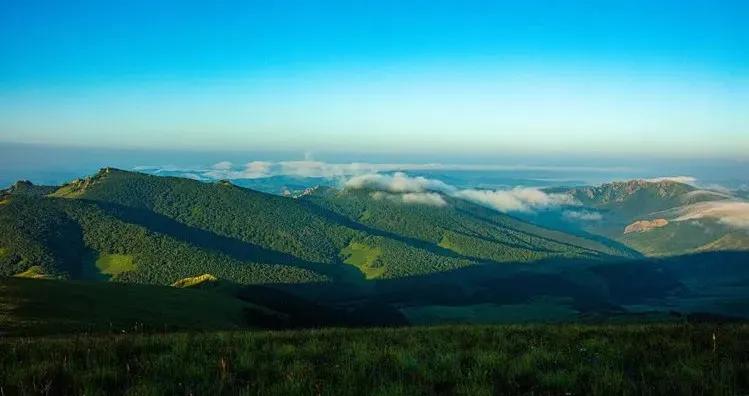 有一种绿绿绿绿绿绿绿，叫赤峰的林