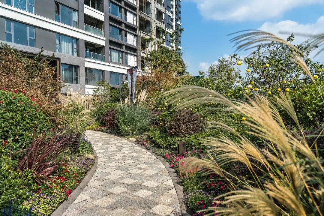 「泛亚出品」面向天空谋划未来TOD上盖的秘境花园