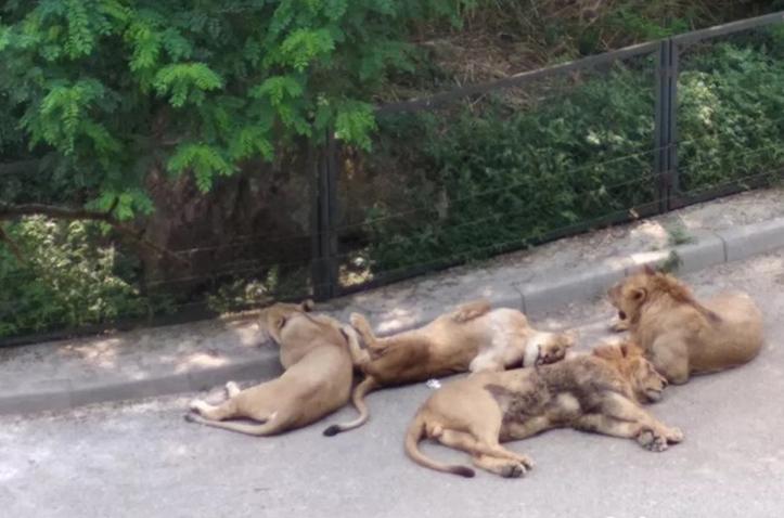 大连滨海路几月最美,大连最美季节