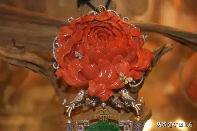 红珊瑚有什么保健作用,红珊瑚对身体有哪些好处