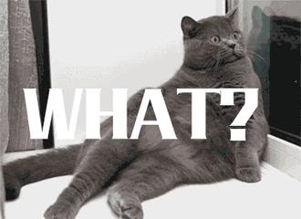 波士顿租房一览表,波士顿quincy租房