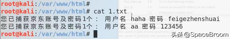 四十二，DNS欺骗和钓鱼网站原理详解及漏洞还原