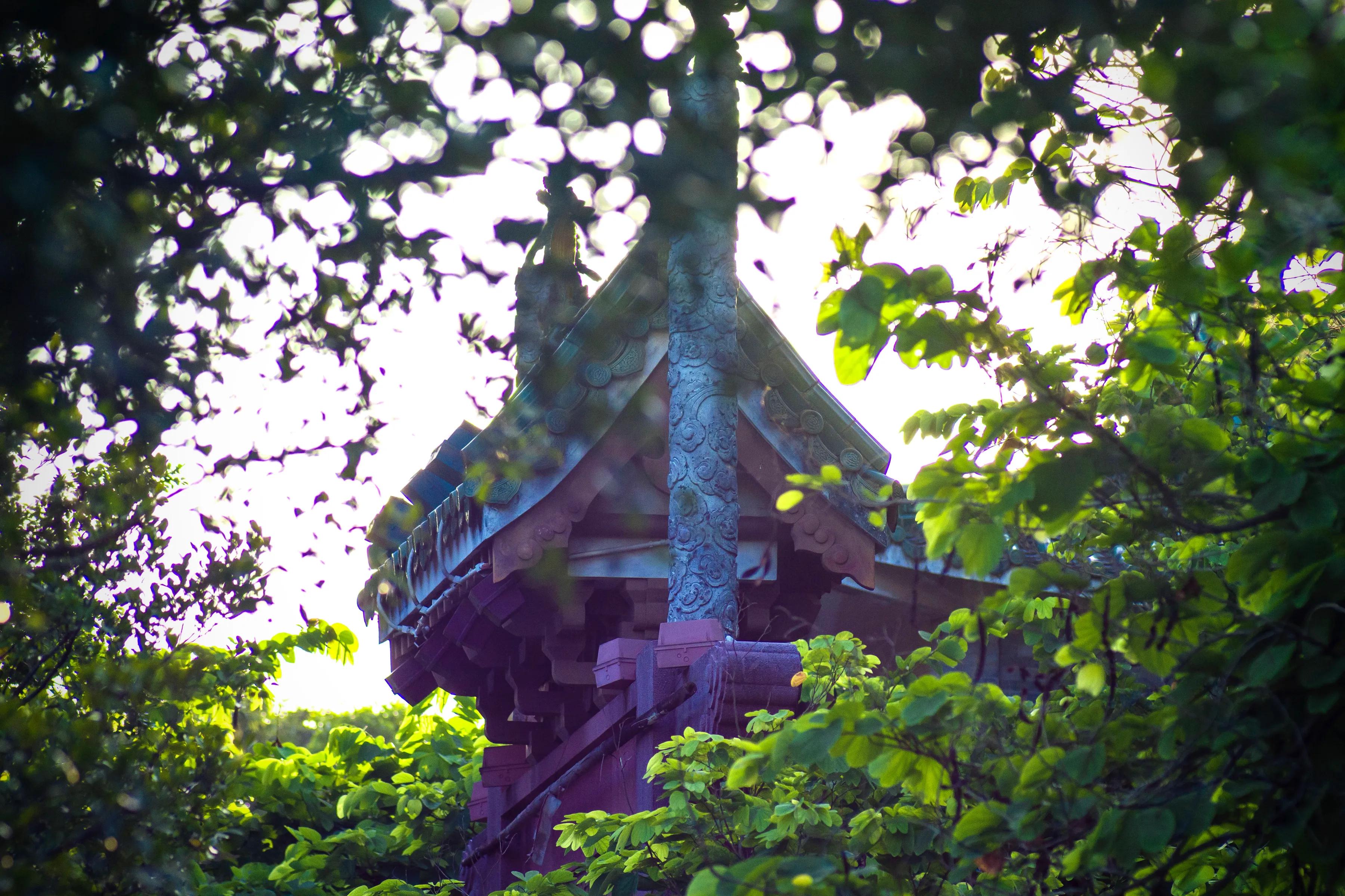 莱卡跟尼康怎么选,徕卡90mmf2.8