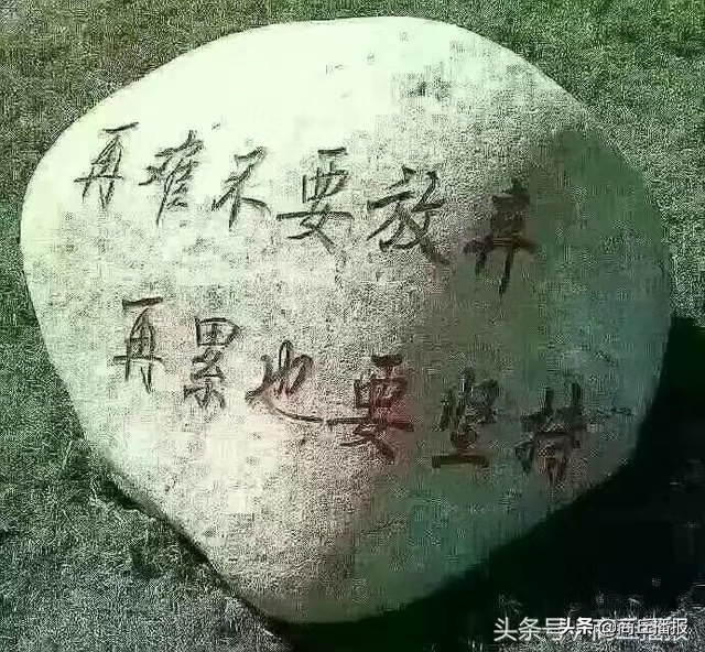 中铁逸都国际瑞丁幼儿园,睢县艾德国际幼儿园