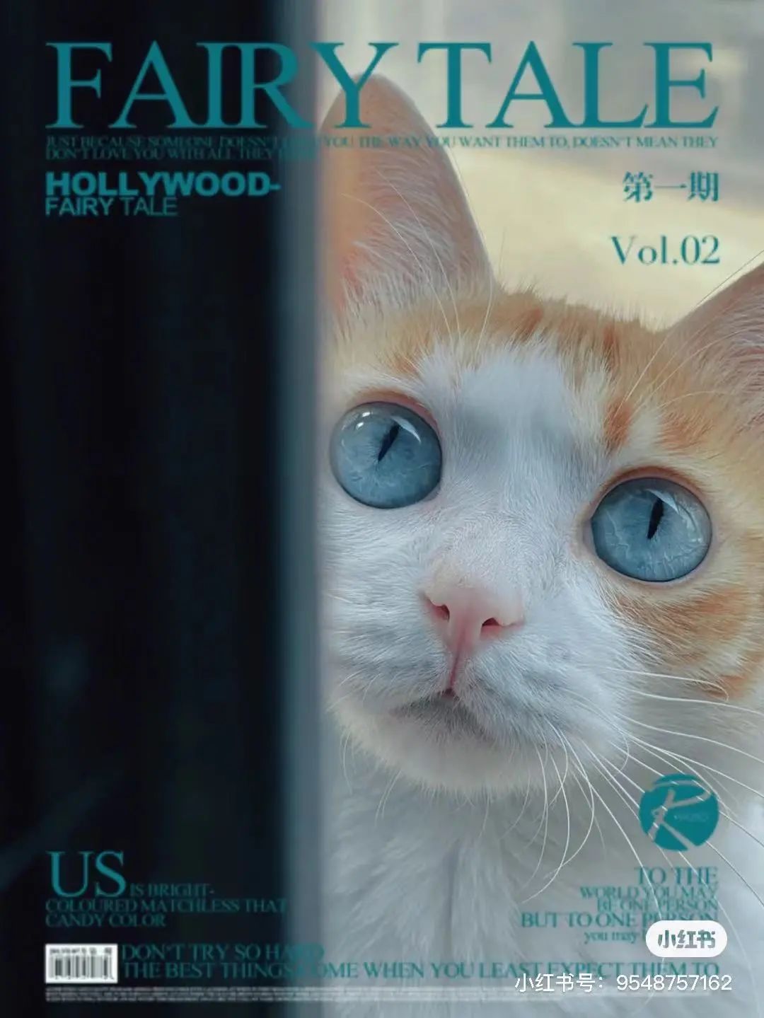 金发碧眼双眼皮!这猫我说一句“橘中最美”不过份吧?