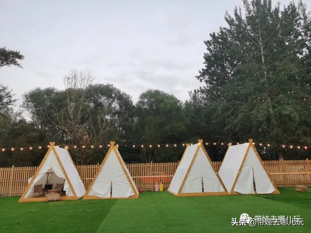 北京五环内新开萌宠乐园，除了喂动物，还能玩大滑梯、免费享帐篷