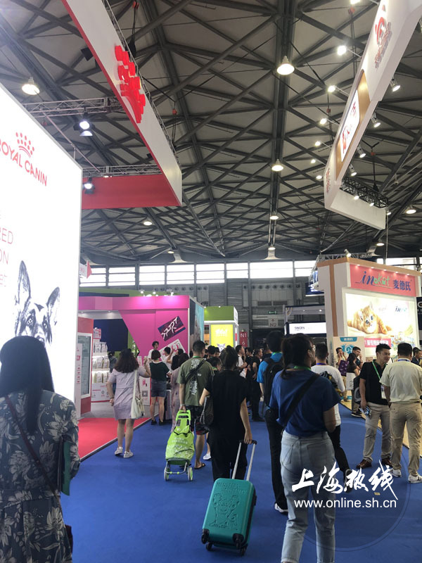 亚洲宠物展2022直播,亚洲宠物展会直播