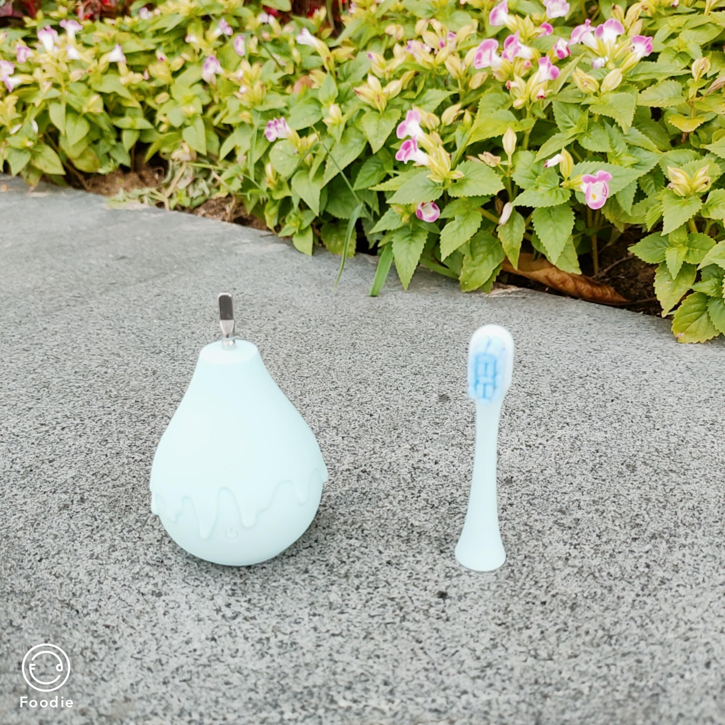 小浣熊儿童声波电动牙刷测评,宠物电动牙刷好不好