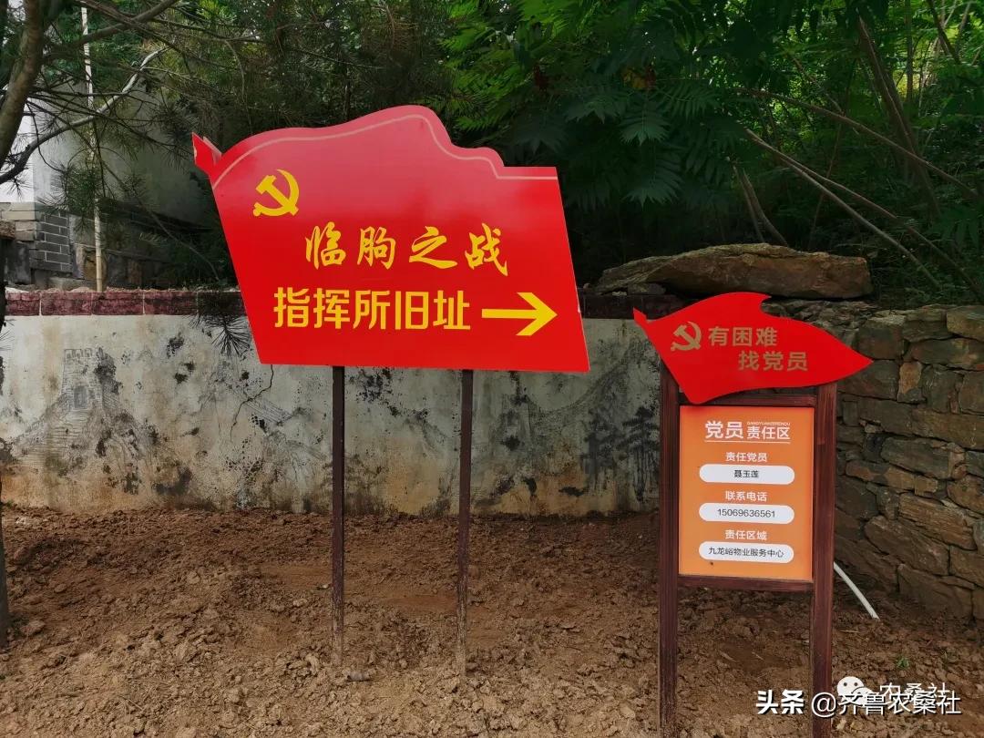 青州民宿桐峪里价格,青州桐峪里民宿有树屋吗