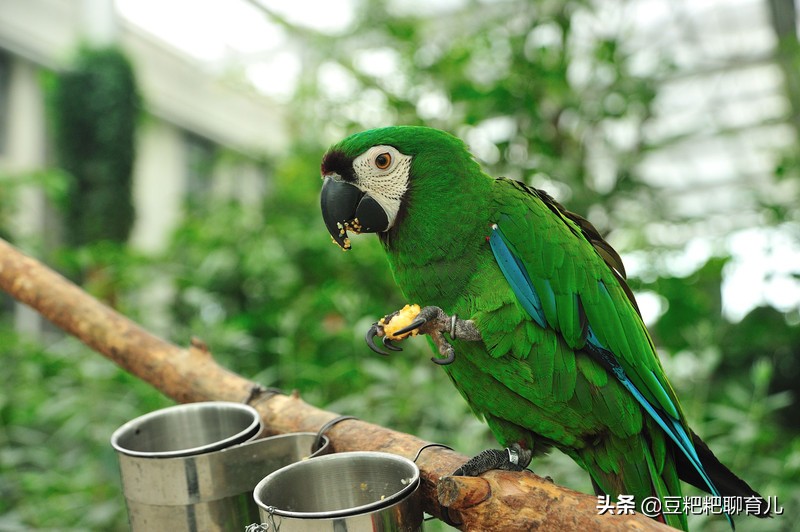 亲子游玩动物园地点推荐,假期亲子去哪玩