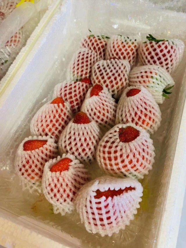 疫情期间丹东草莓滞销如何解决,因为疫情草莓滞销的原因