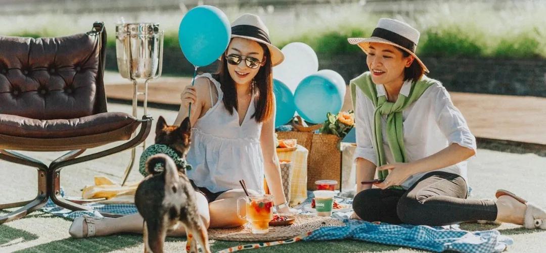 爱宠大作战纪录片,爱宠大作战一口气看完