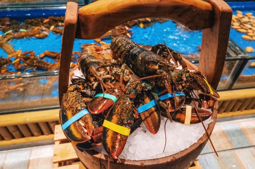 200元住总统套房,200块住酒店吃大餐