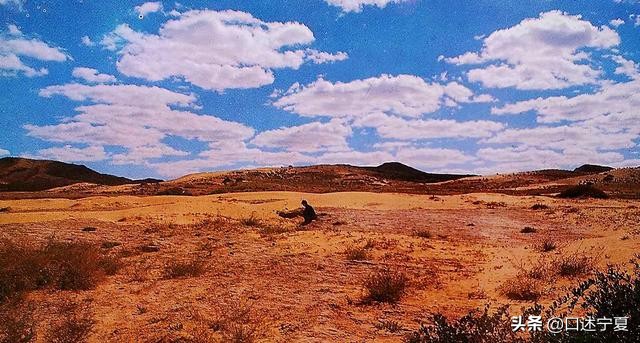 宁夏中卫历史名村,宁夏中卫历史简介
