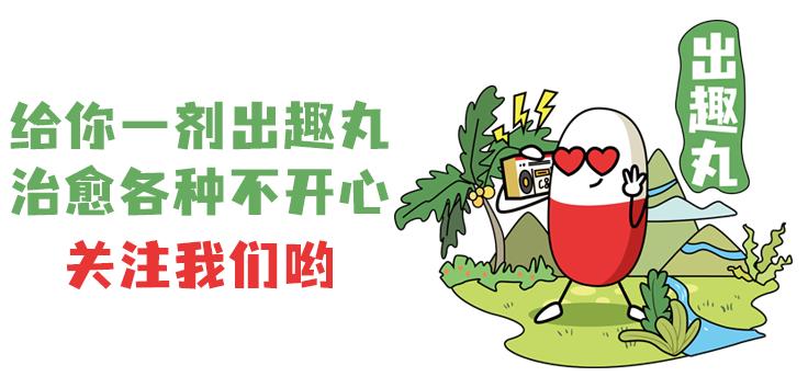 上海免费的旅游攻略,上海最实惠的免费旅游攻略