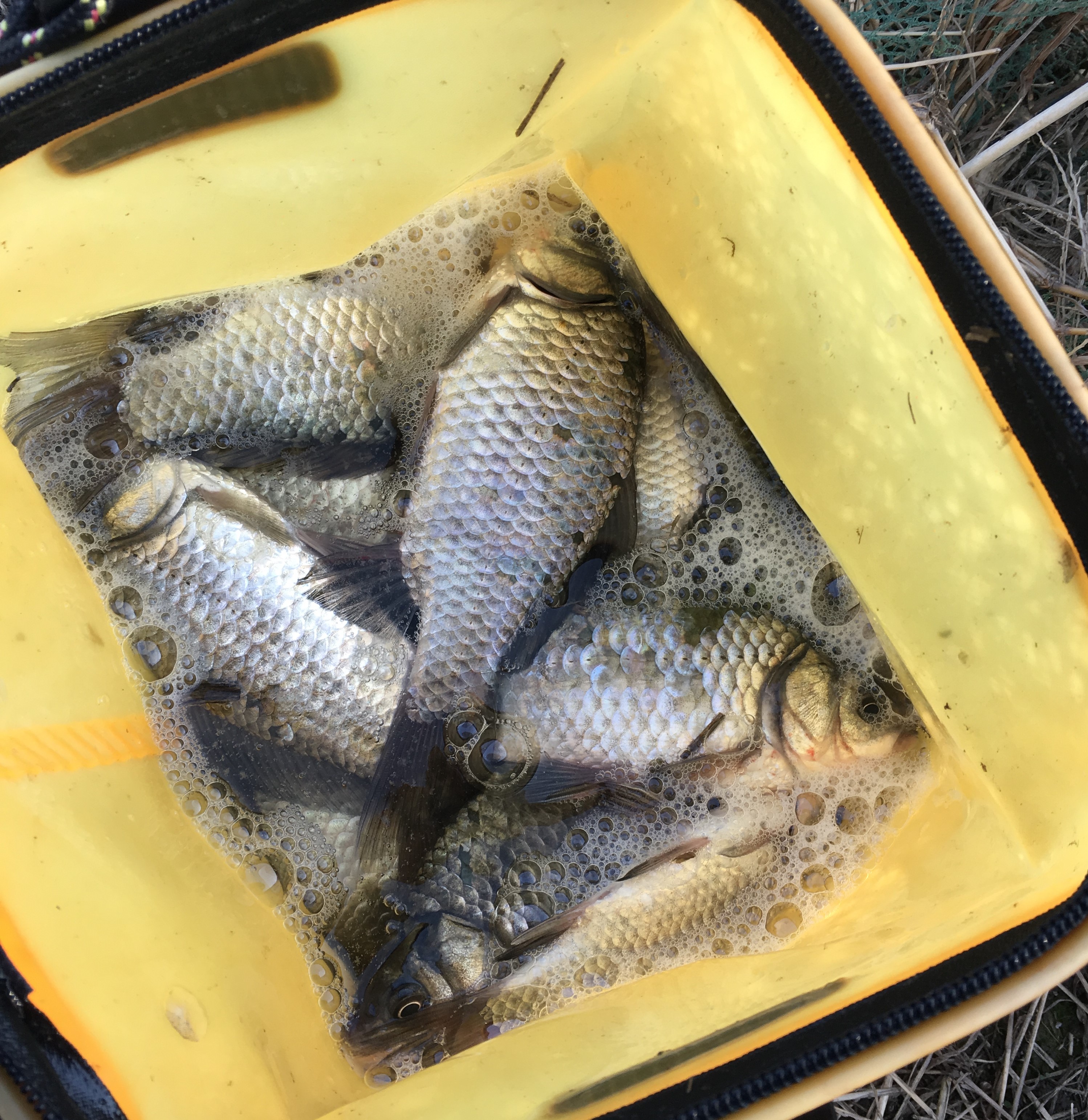 冬季钓鱼技巧之老钓手的秘密,冬季钓鱼的大技巧爆护