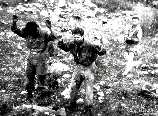 6个故事剧情完整分析,六个历史真实故事