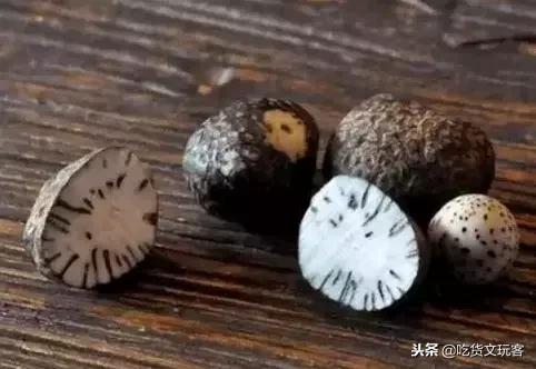 星月菩提哪个种类比较好,哪个种类的星月菩提是最好的