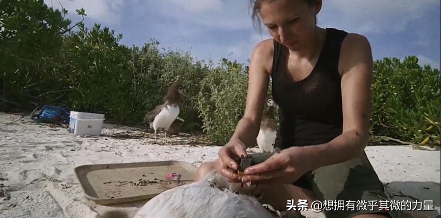 人生奇遇真实故事,人生奇遇真实视频