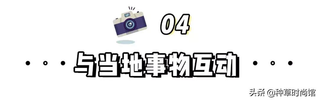 有趣的拍照模板,30个照片合集模板