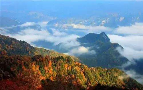 巴中南江要火了！入选国家生态示范县