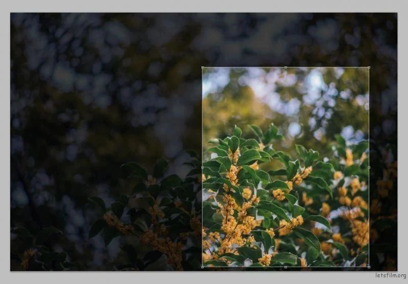 ps从零开始学常用快捷键,纯干货ps常用快捷键大全方便实用