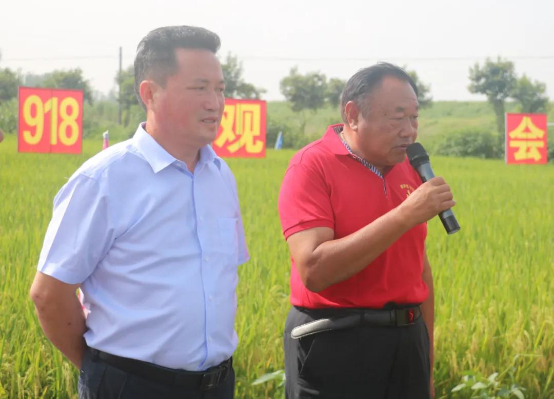 徽两优1577第一名高产稻种,徽两优985稻种简介