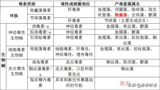 高温季节有蓝藻如何肥水,蓝藻不肥水会怎么样