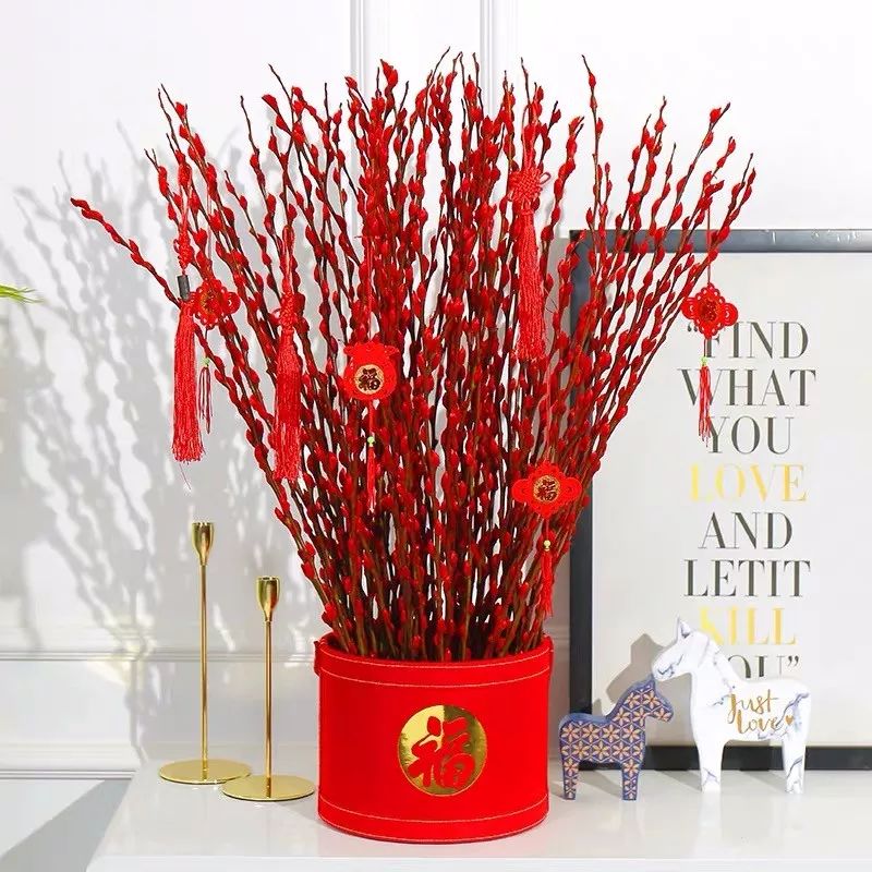 什么花喜庆又好养又好看,家养最旺财的十种花推荐