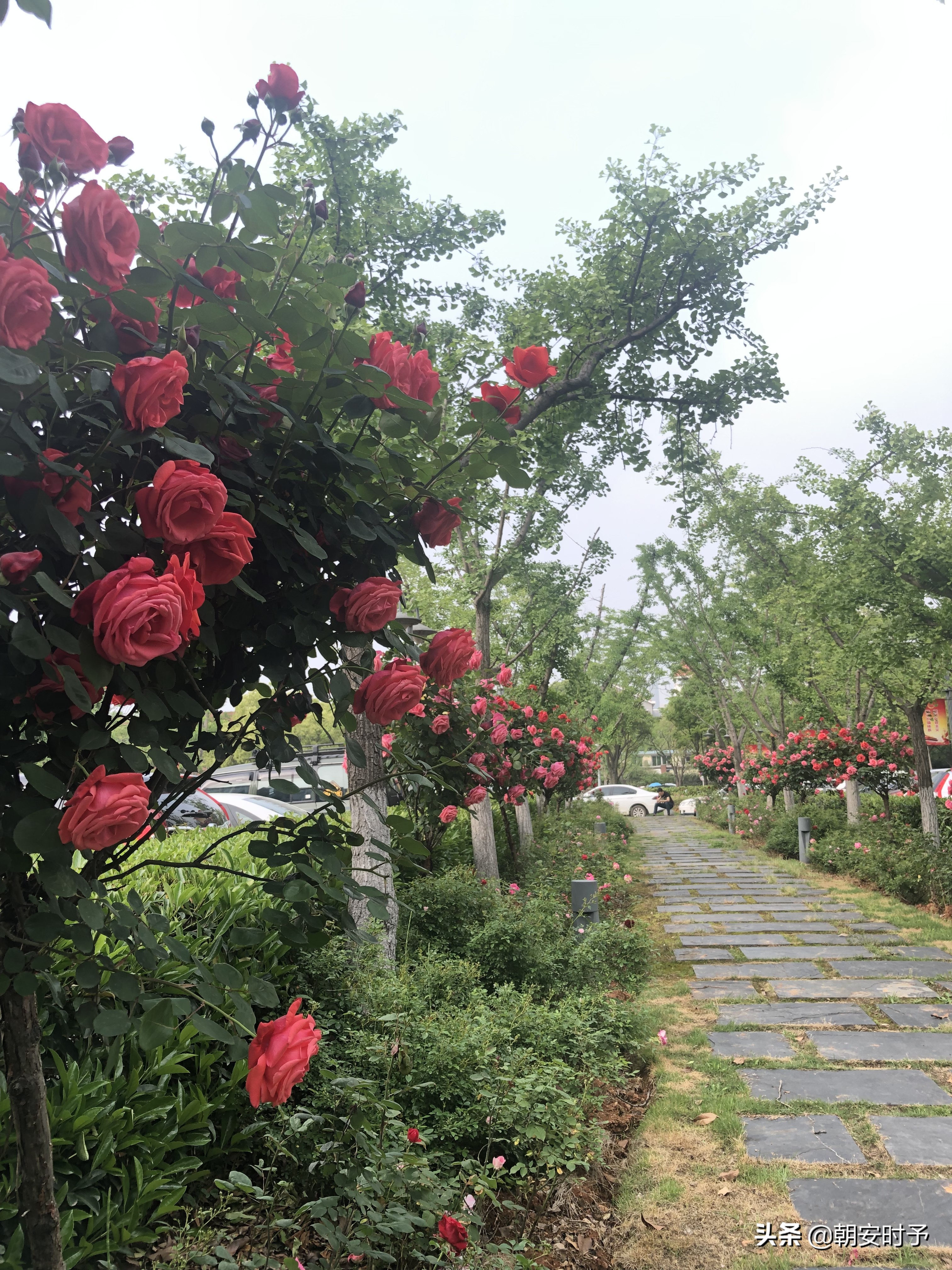 疫情中的武汉美景,大好河山武汉市