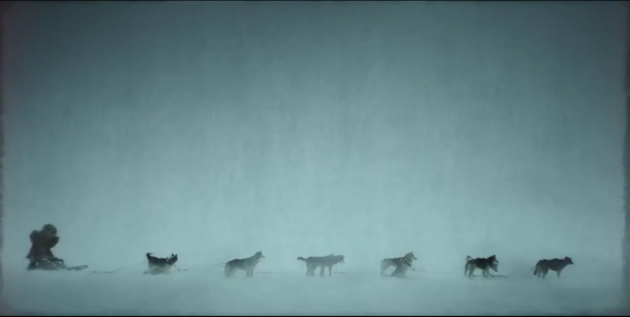 多哥电影讲的什么故事,电影多哥主要讲了什么