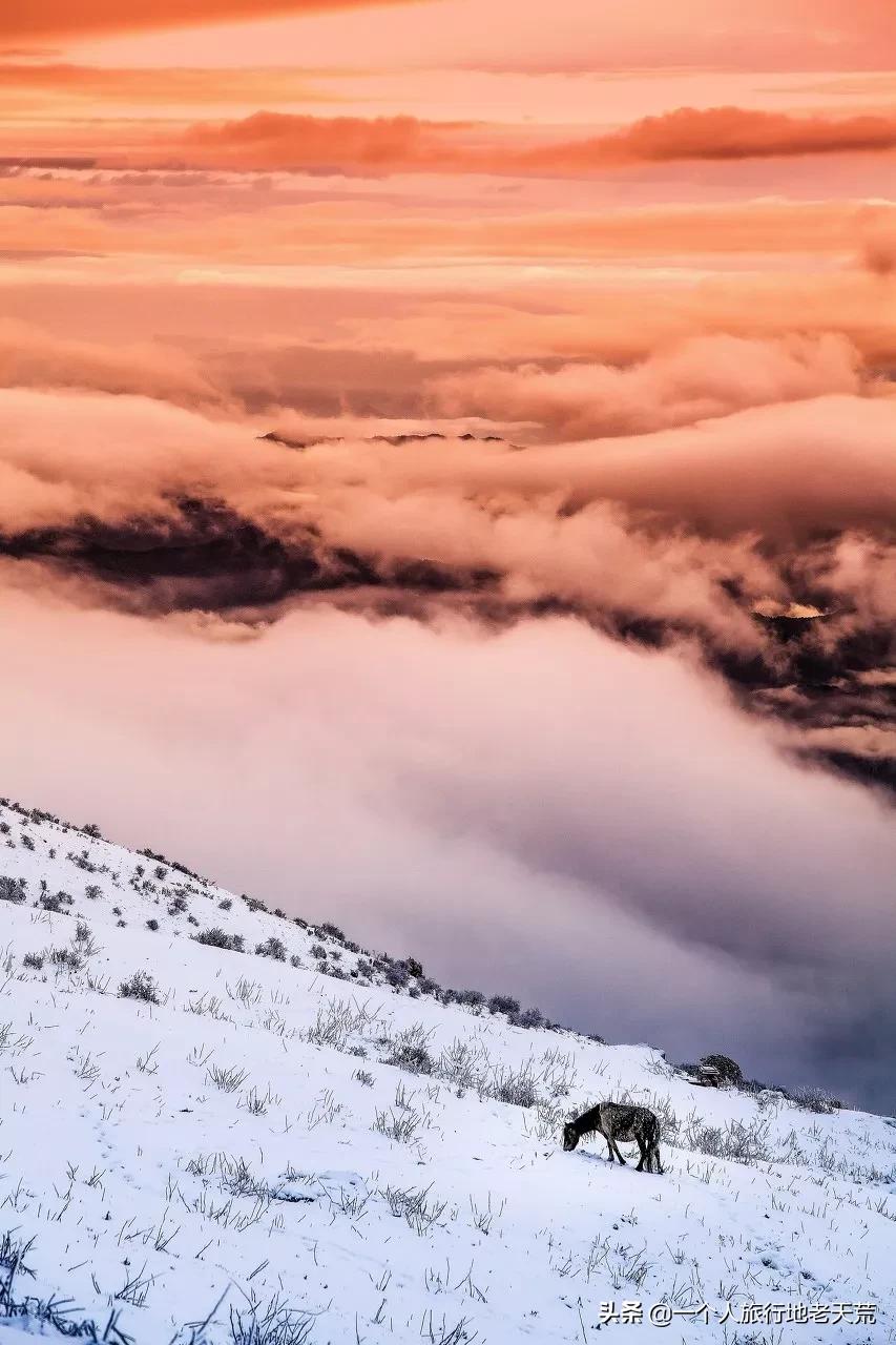 忽然想去自驾游了,想去川西看星空