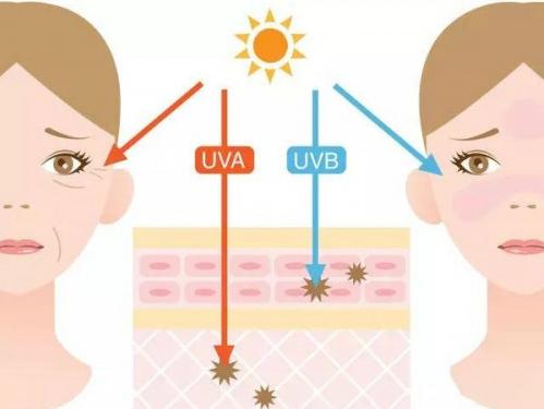 如何根据不同肤质挑选护肤品呢,角质层薄混合肤质用什么护肤品