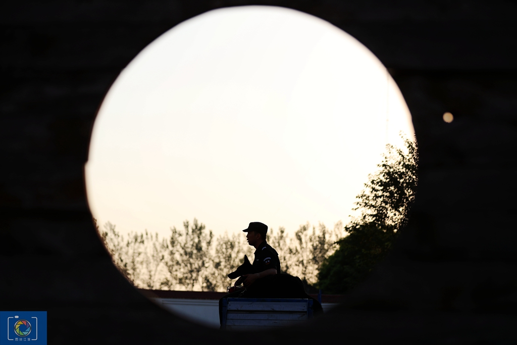 警犬训犬师的工作和生活,如何成为一名合格的警犬训导员