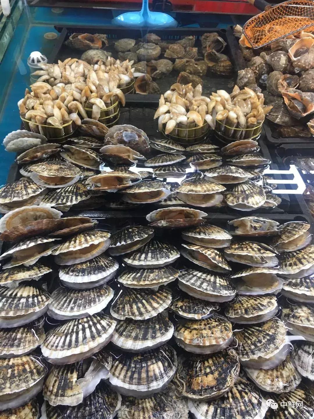 水产销售的技巧和方法,7月水产