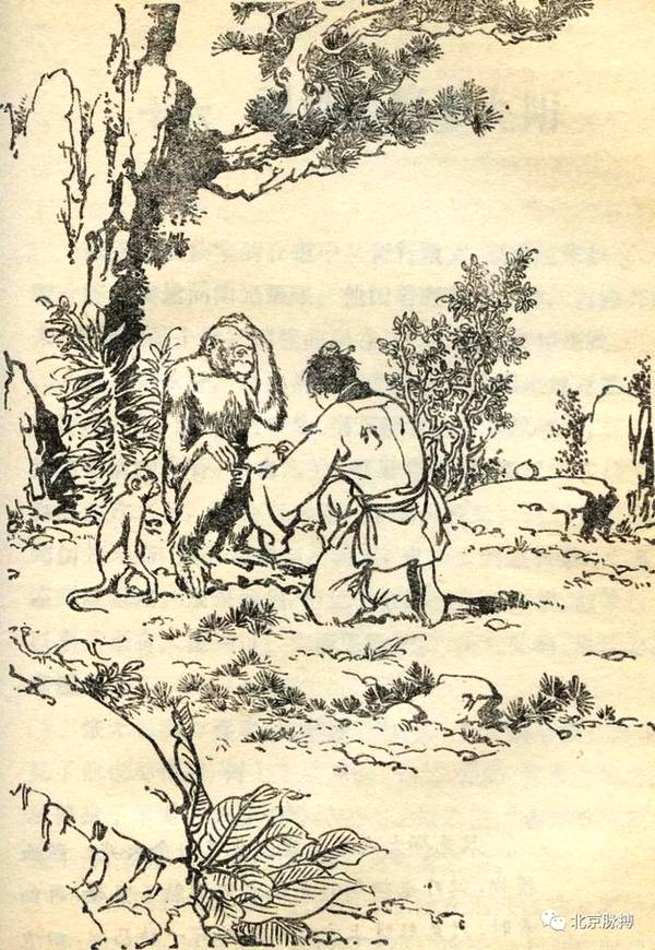 新修版《倚天屠龙记》金庸改动最多的一部书