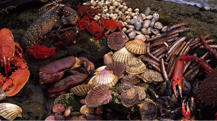 巴塞罗那的特色美食推荐,西班牙巴塞罗那凯旋门美食