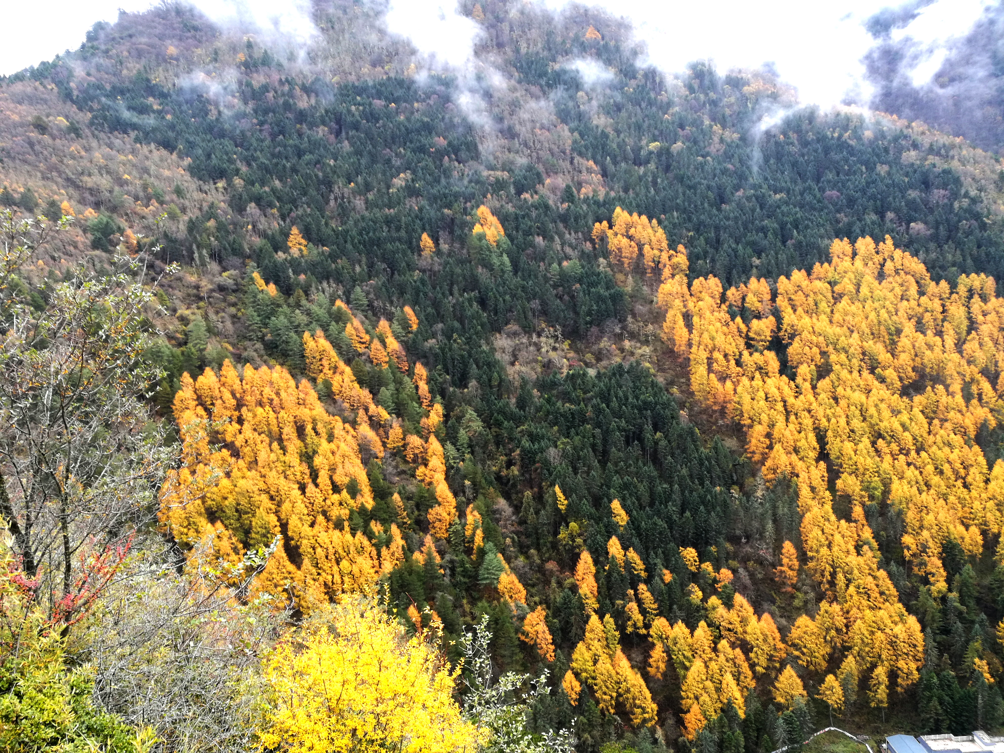 夹金山垭口云海,重峦叠嶂层峦叠嶂