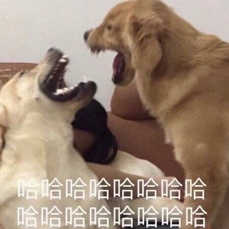 把Nuggets说成Nigger！这解说员直接被开除！太秀了