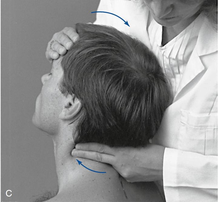 整体脊柱平衡推拿疗法,脊柱正骨推拿