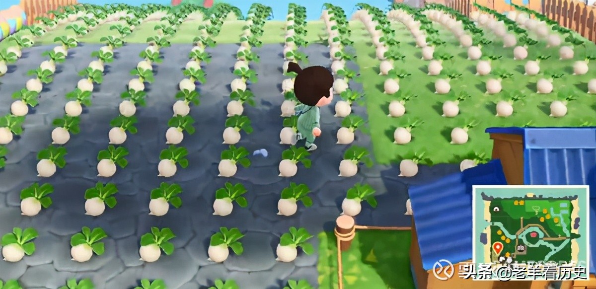 当年的你纯享版,当年的你