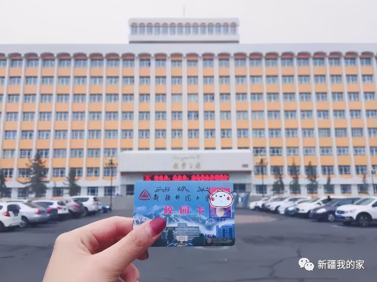 校园美食节登上热搜，*疆新**师范大学没想到你是这样的