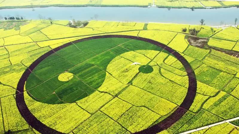 全国油菜花时间表,3月份哪里的油菜花最美