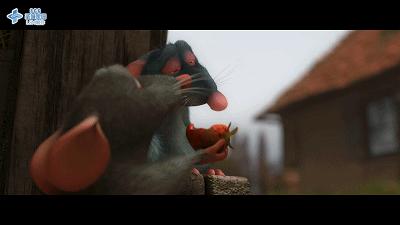 米其林老鼠,在米其林餐厅吃饭