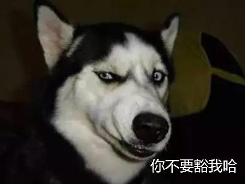 四川话用不了多久,四川话还有多长时间消失