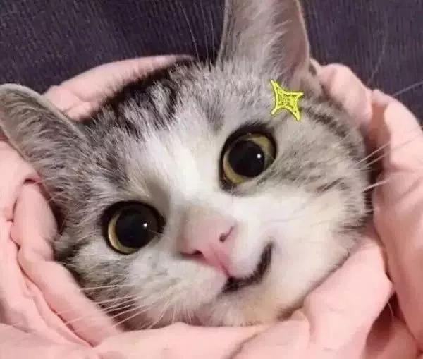 omg新品大全,omg口红好看吗